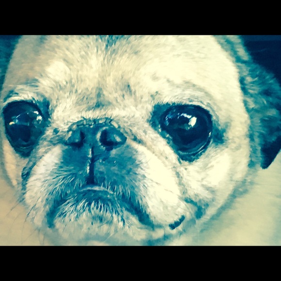 Meet your Posher, Mindy - Picture 1 of 1